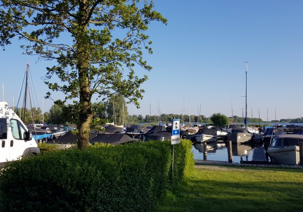 Vlietland Camping — Photo 4