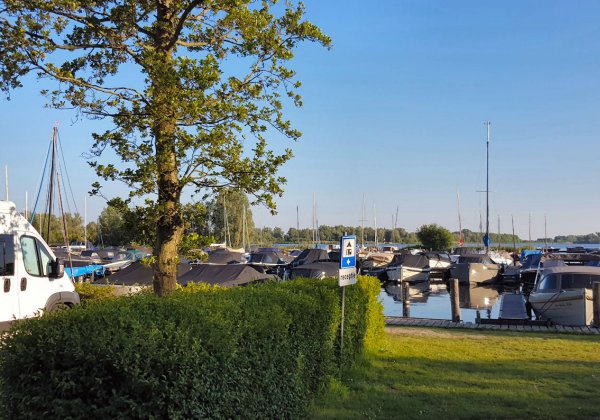 Vlietland Camping — Photo 2