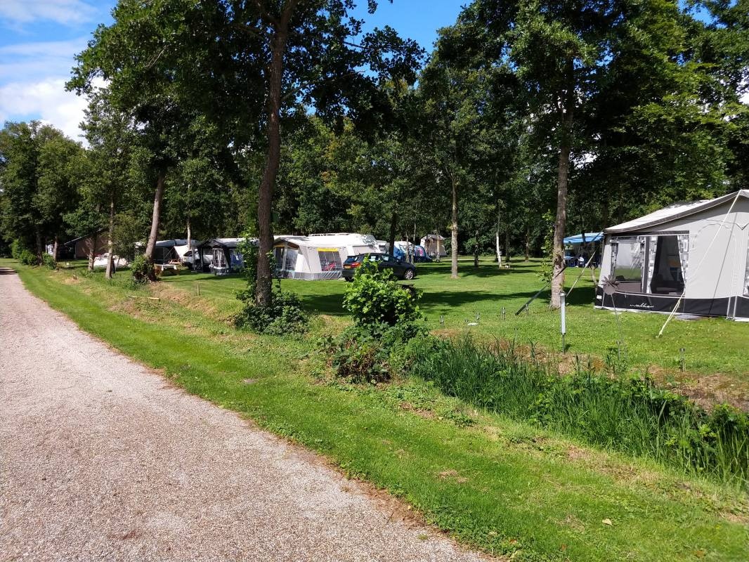 Camping De Drenthse Roos — Місце для кемпінгу in De Wijk / Drenthe