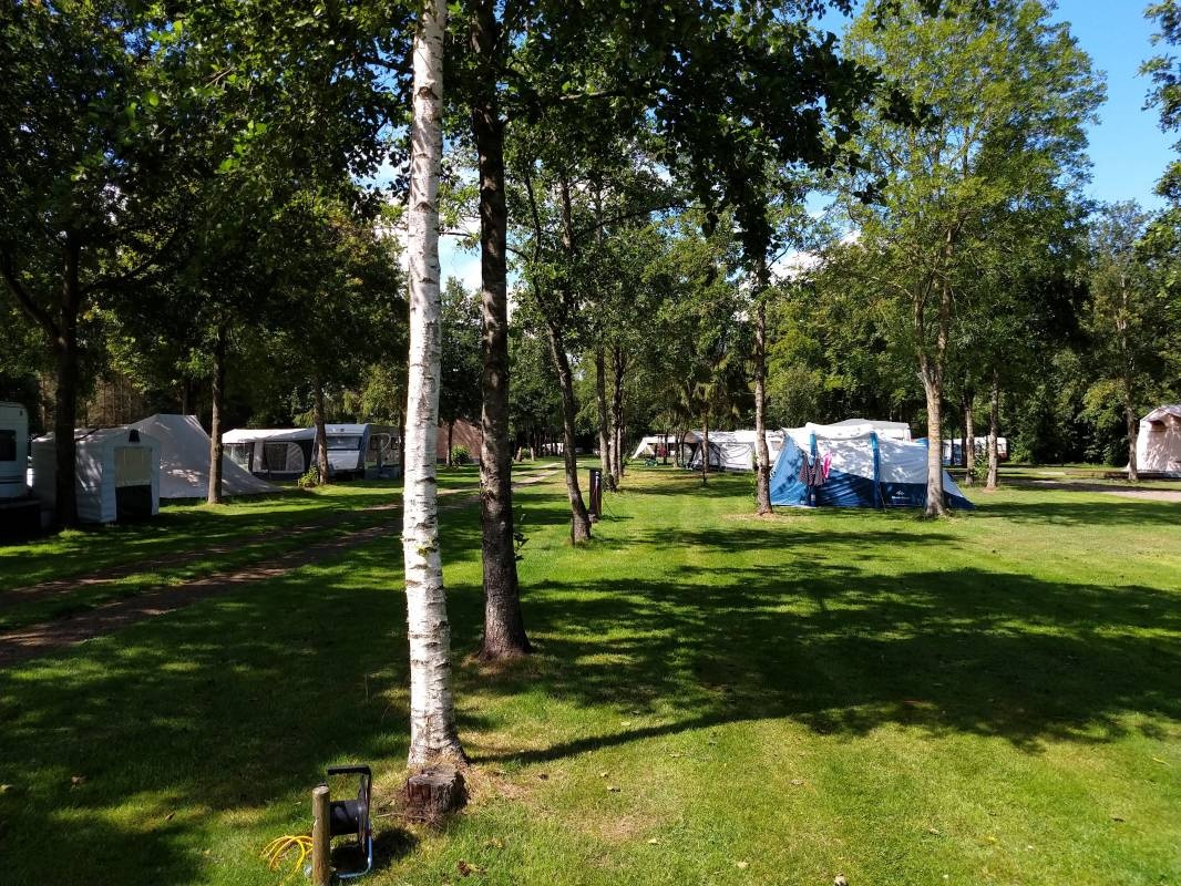 Camping De Drenthse Roos — Campingplats in De Wijk / Drenthe