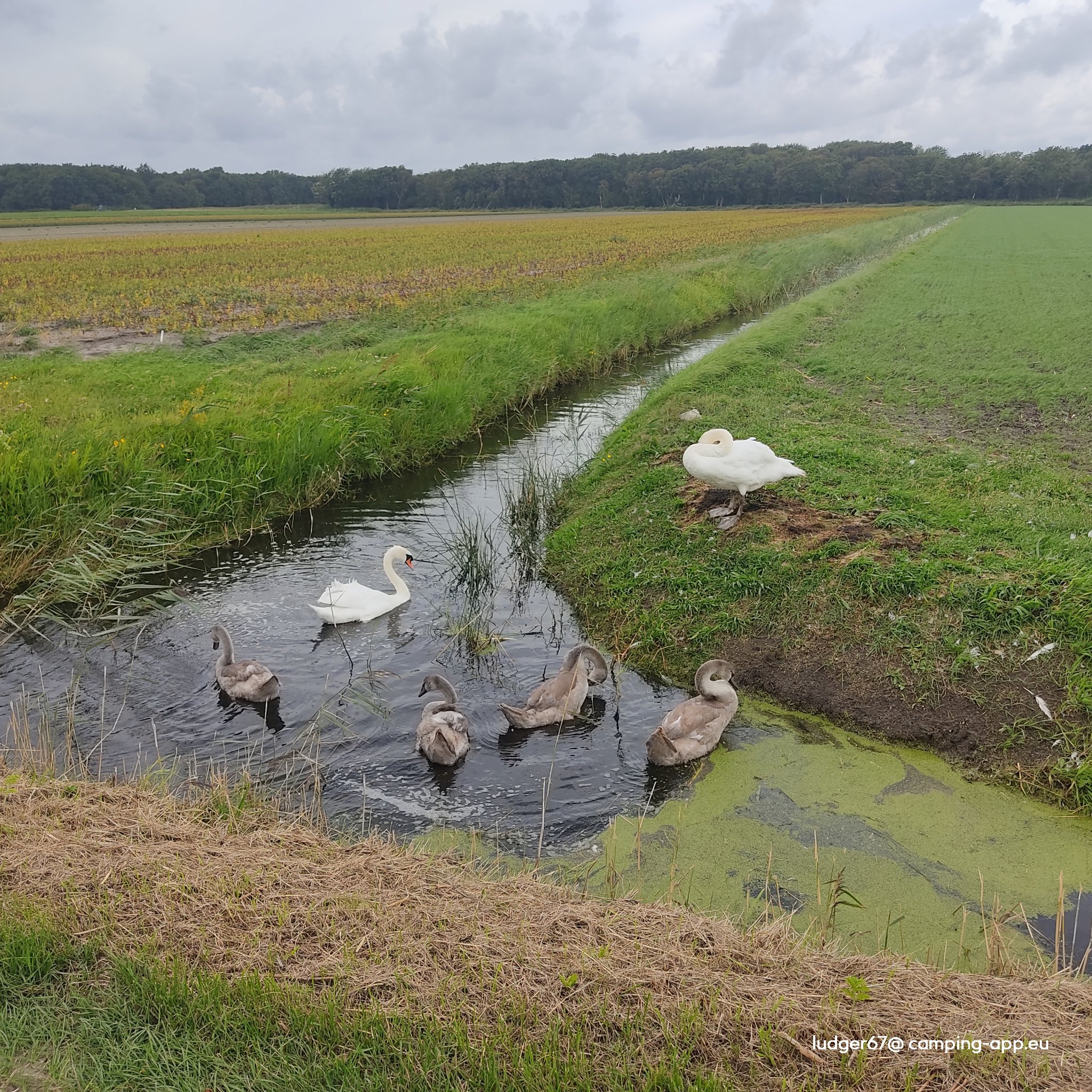 't Klinkertje — Foto 2