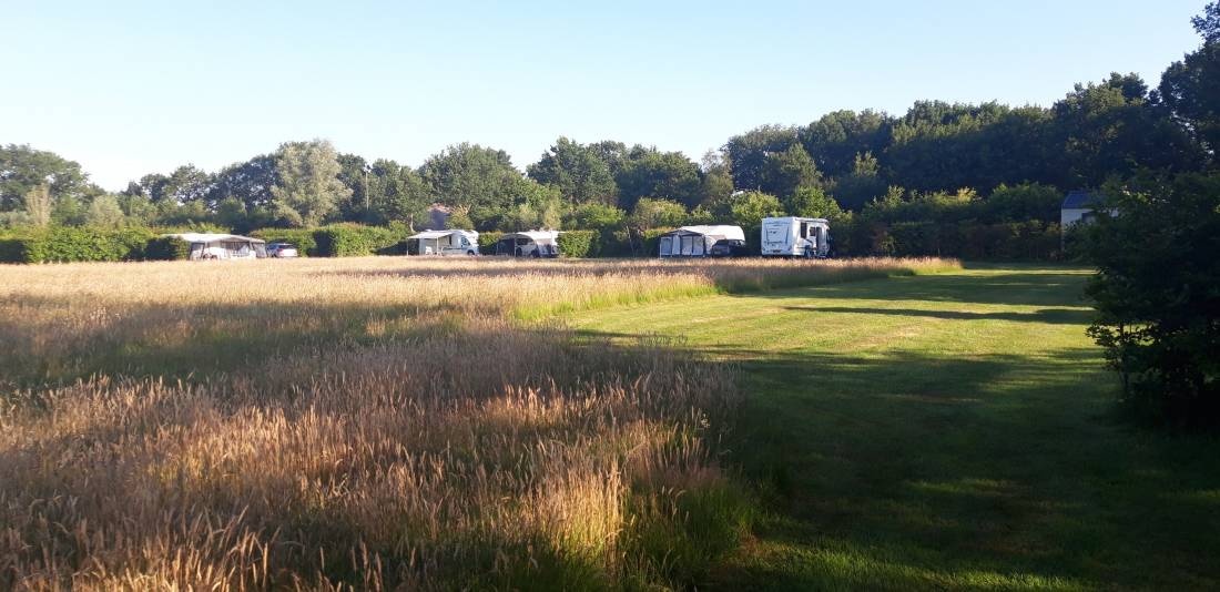 Le Landerij Camping & Natuurdomein — Kemping in Basse