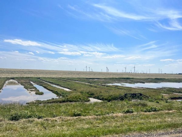 De Westbout — Photo 2