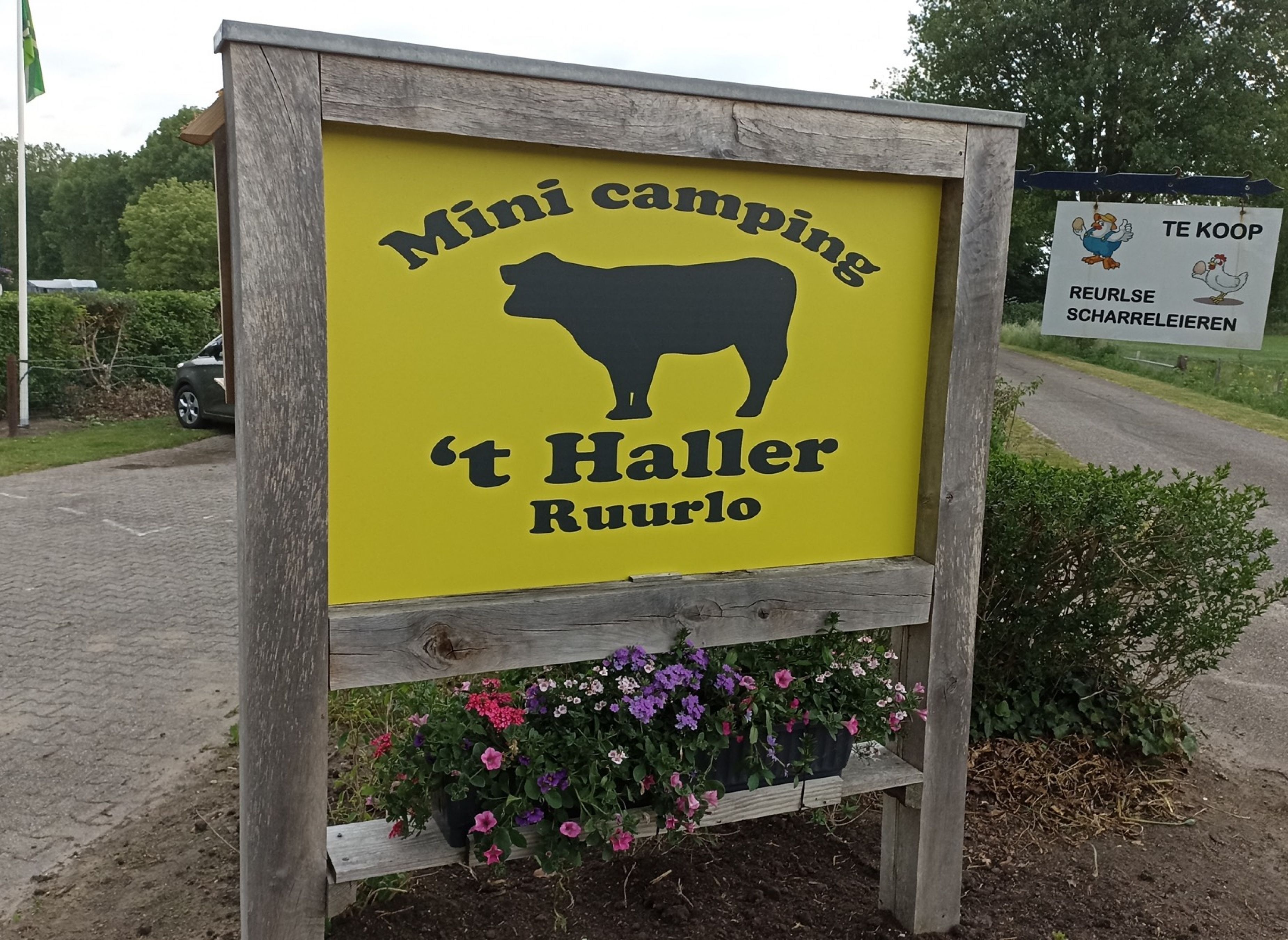 Campsite 't Haller — Camping in Ruurlo / Gelderland