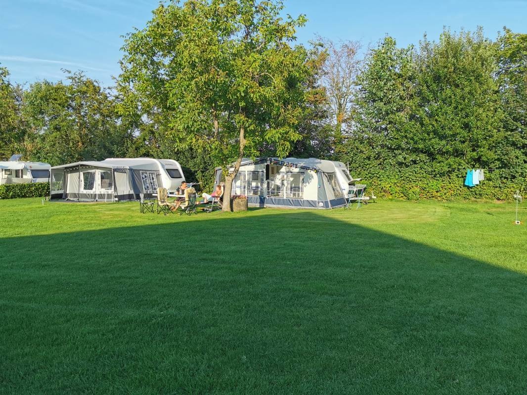 Minicamping Heksenheuvel — Area da campeggio in Someren-Heide