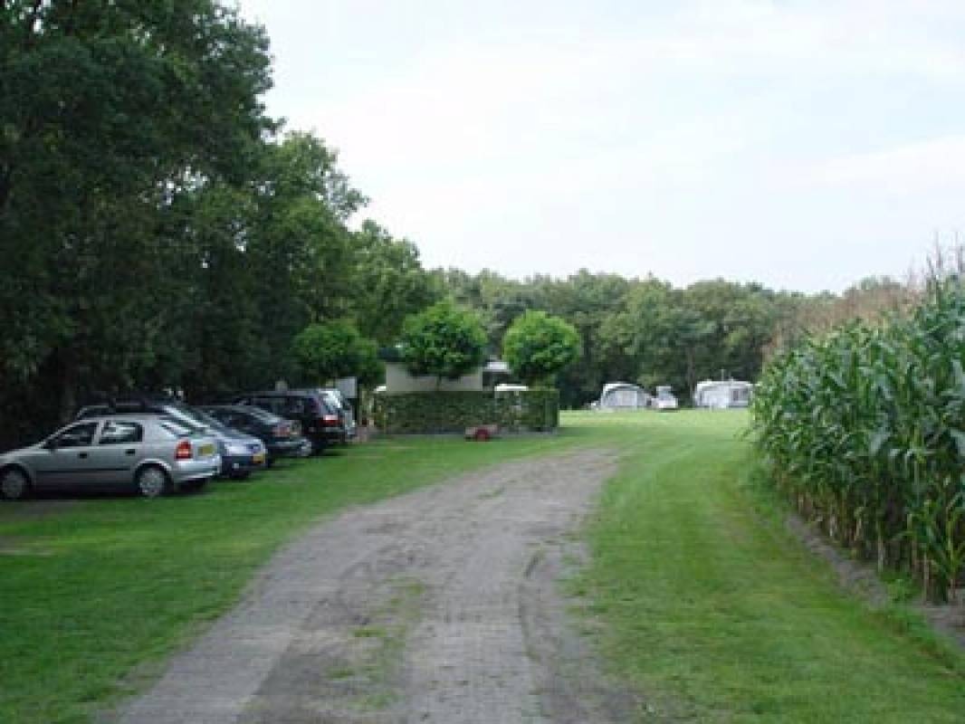 Boerden Camping De Berkebomen — Campingplatz in Ermelo