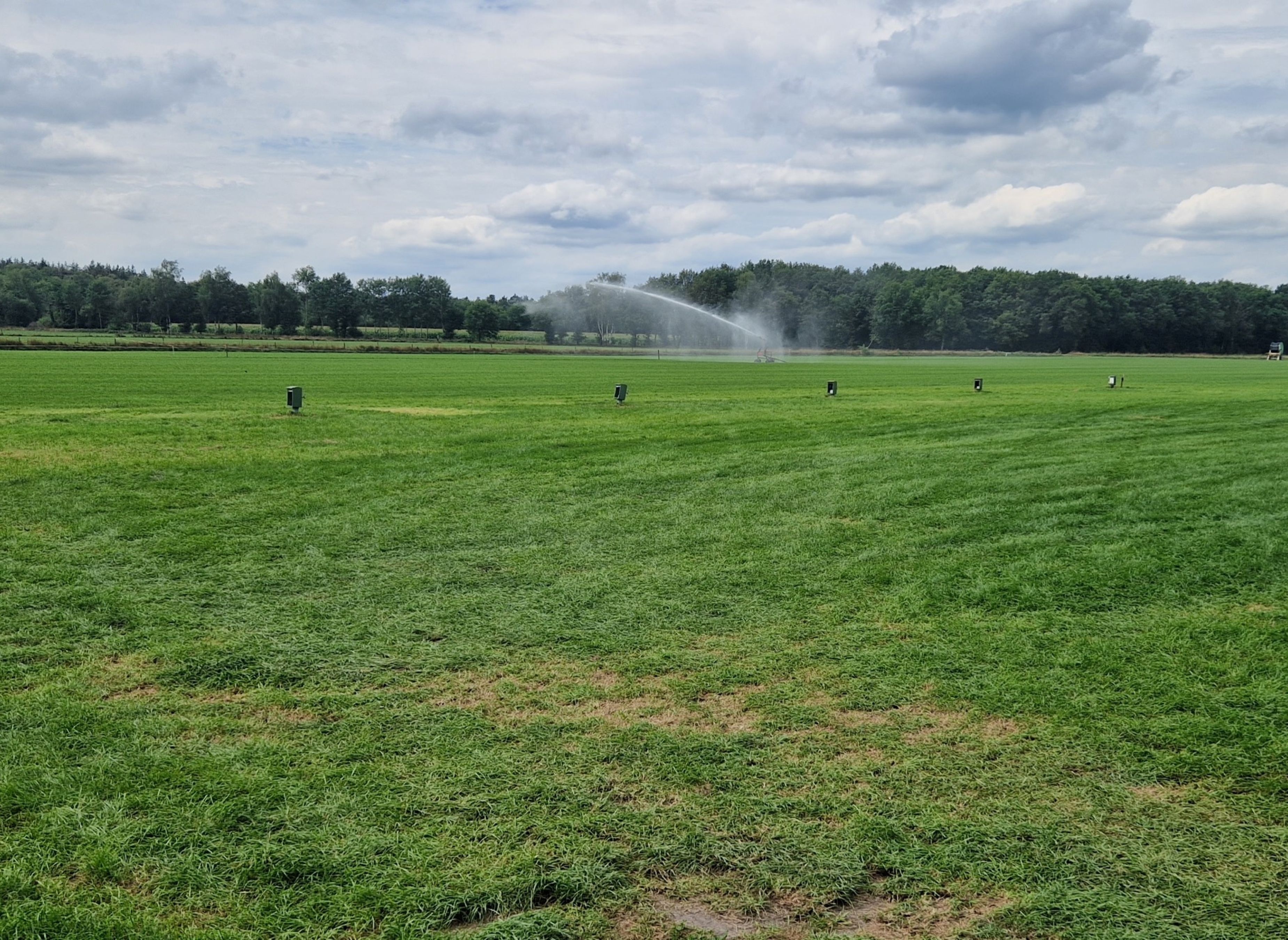 Hoeve de Maasduinen — Campingplatz in Wellerlooi / Limburg