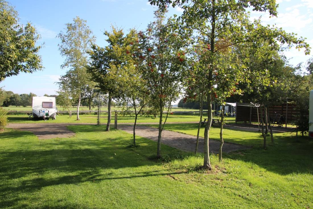 Camping Landgoed het Geuzenbos — Campingplass in Mantinge / Drenthe