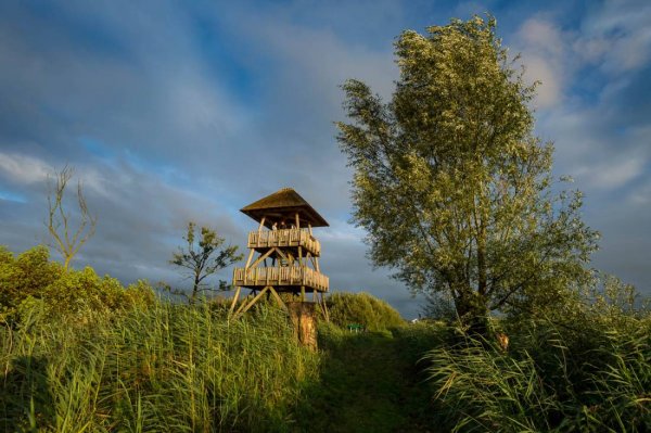 Camping Pension Simmerwille — Photo 2