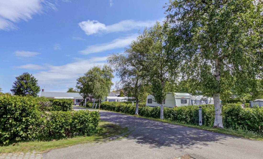 Gezinscamping De Rozenhof — Campingplatz in Burgh-Haamstede / Zeeland