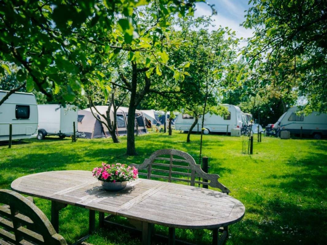 Buitenplaats De Luwte — Kemping in Zwolle
