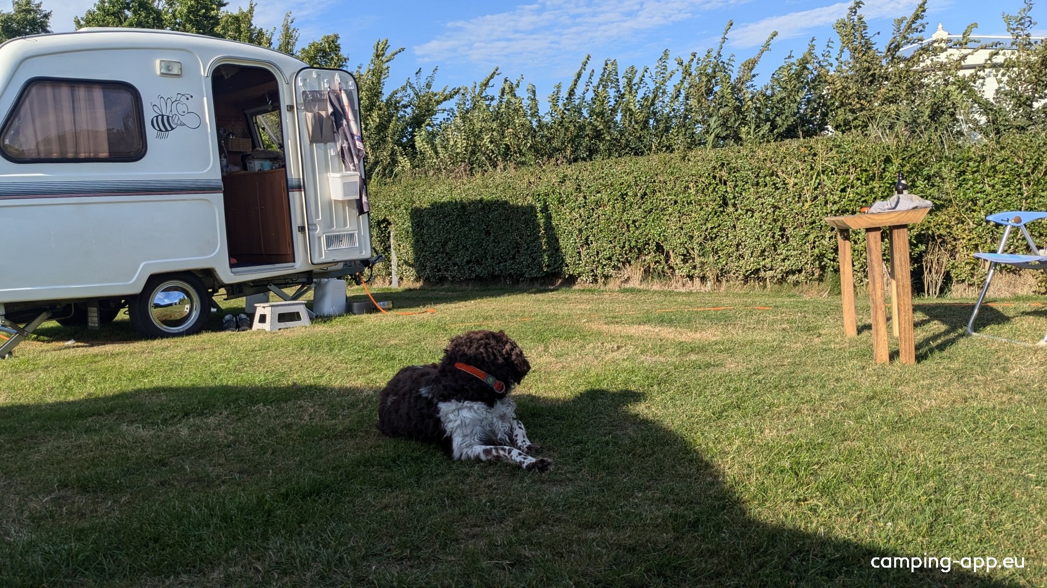 Camping 't Schorre — Campingplatz in Nieuwvliet