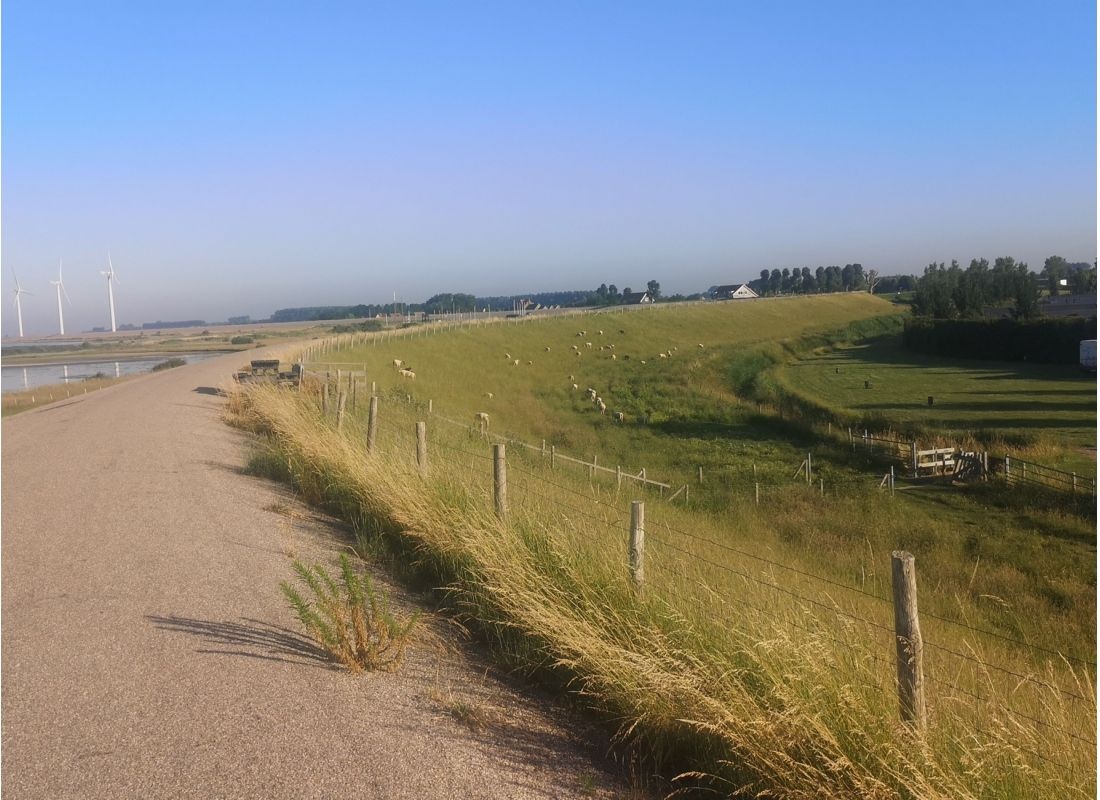 Camping De Grevelingen — Campingplatz in Nieuwe-Tonge / Zuid-Holland