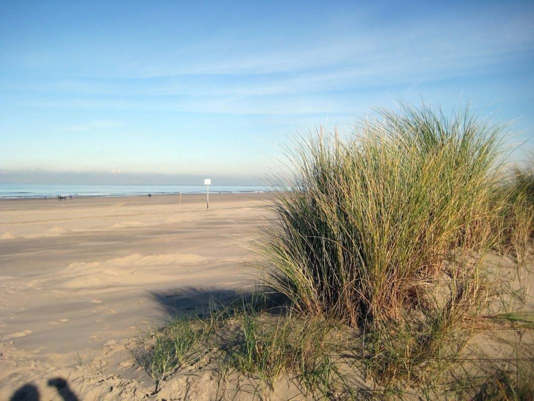 Bungalows Stuifkenszand — Sítio de acampamento in Hoek van Holland