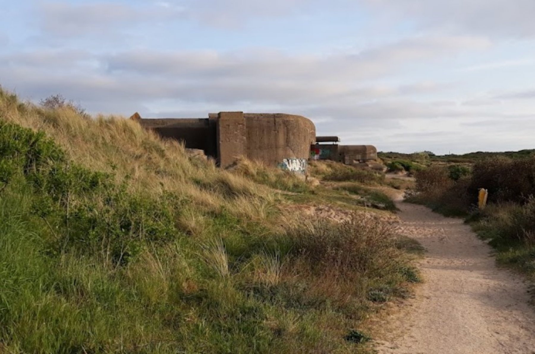 De Duindoorn Camping — Area da campeggio in IJmuiden / Noord-Holland
