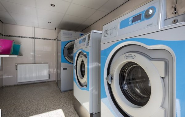 De Duindoorn Camping — Photo 6