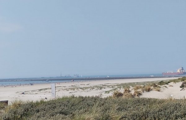 De Duindoorn Camping — Foto 3