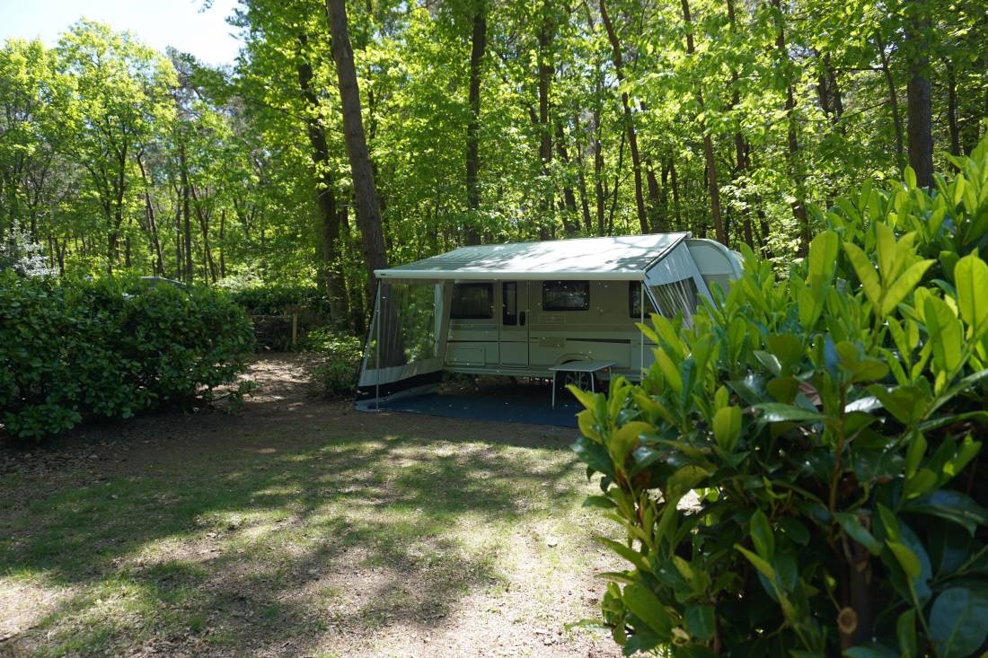 Landgoed de Wildert — Campingplatz in Bosschenhoofd / Noord-Brabant