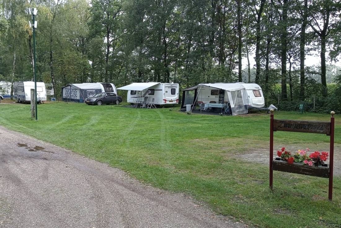 Camping De Hooghe Heide — Місце для кемпінгу in Berlicum