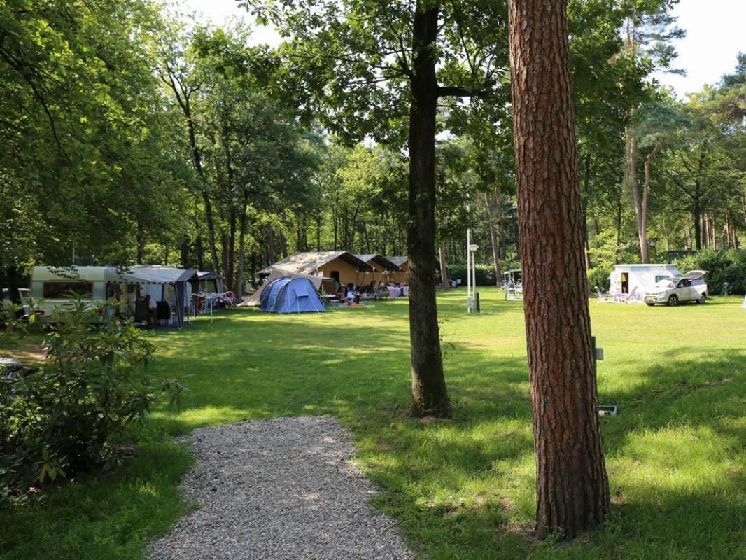 Vakantiepark Bonte Vlucht — Campingplatz in Doorn