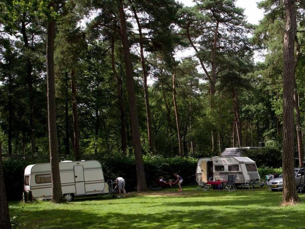 Vakantiepark Bonte Vlucht — Kemp in Doorn