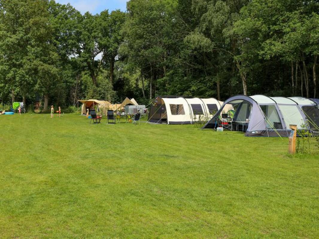 Vakantiepark Sallandshoeve — Kamp yeri in Nieuw Heeten