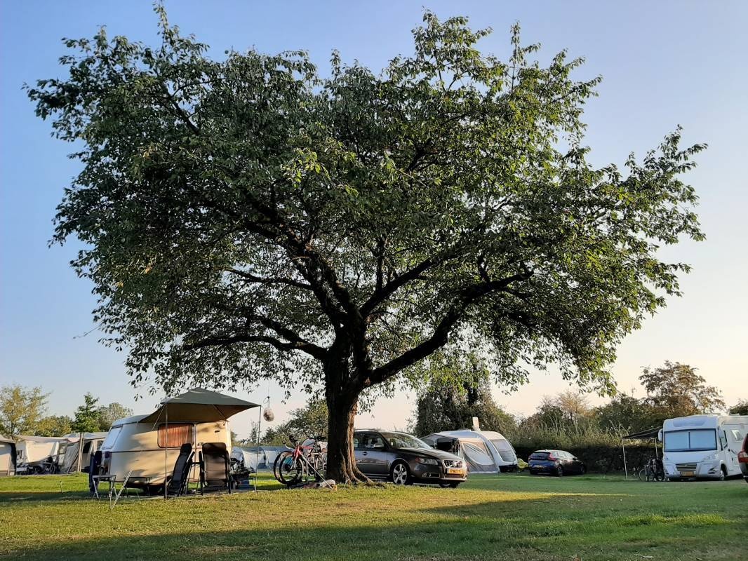 Kampeerterrein Oosterberg — Campingplatz in Epen