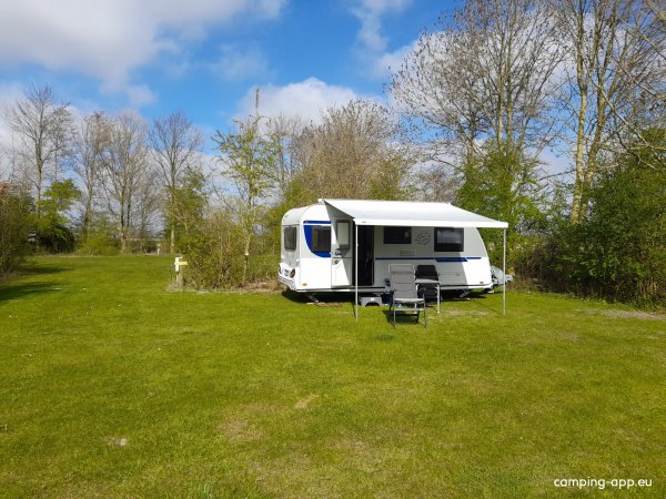 Robersum — Photo 3