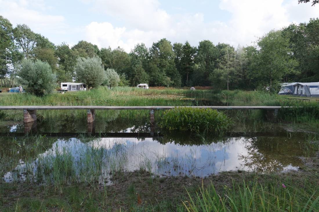 Natuurkampeerterrein De Meenthe — Campingplats in Noordwolde