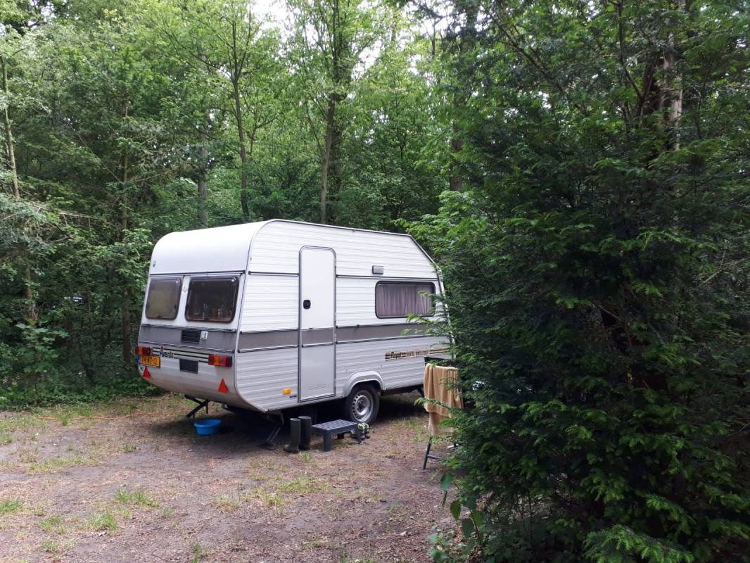 Camping Schoonenberg — Kamp yeri in Velsen-Zuid