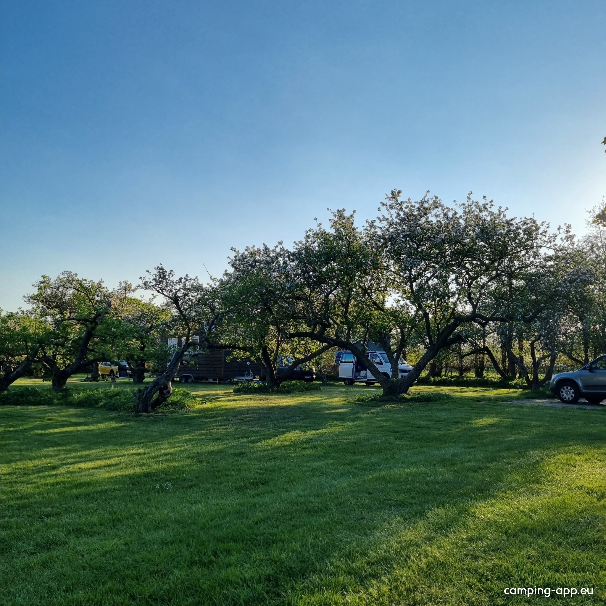Camping In het fruit — Camping Site in Zuidoostbeemster / Noord-Holland