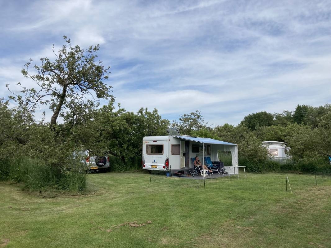 Camping In het fruit — Campingplatz in Zuidoostbeemster / Noord-Holland
