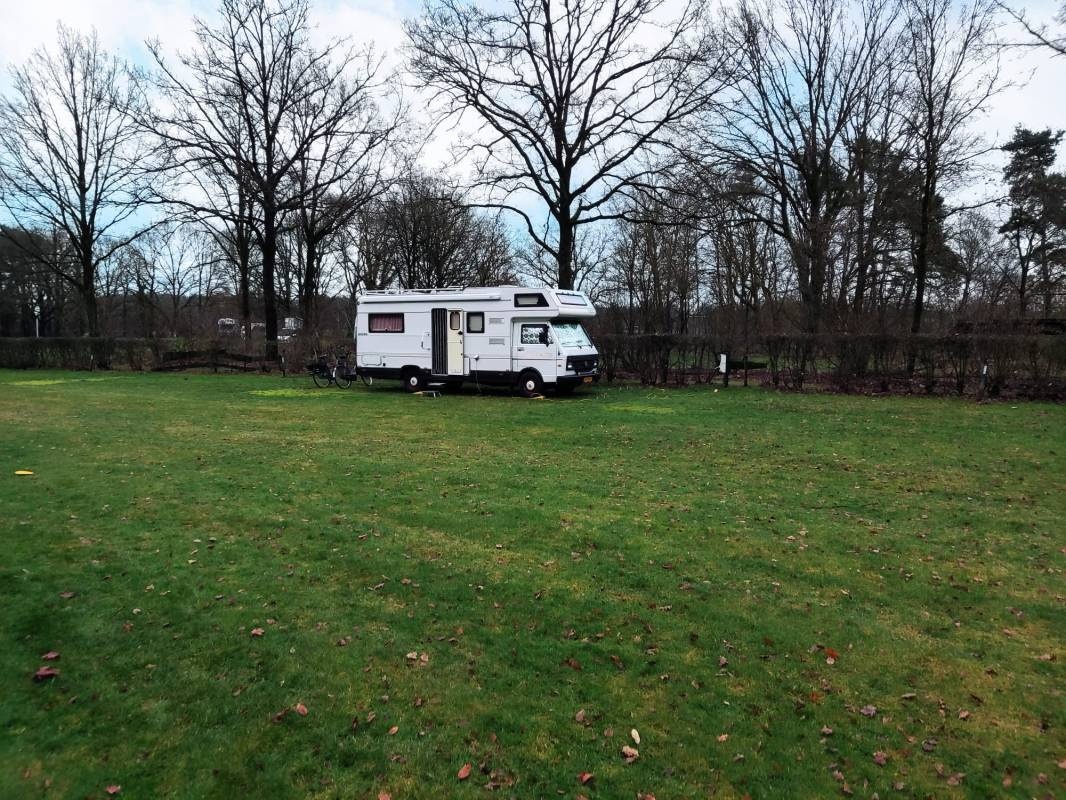 Natuurkampeerterrein Het Hallse Hull — Kamp yeri in Hall