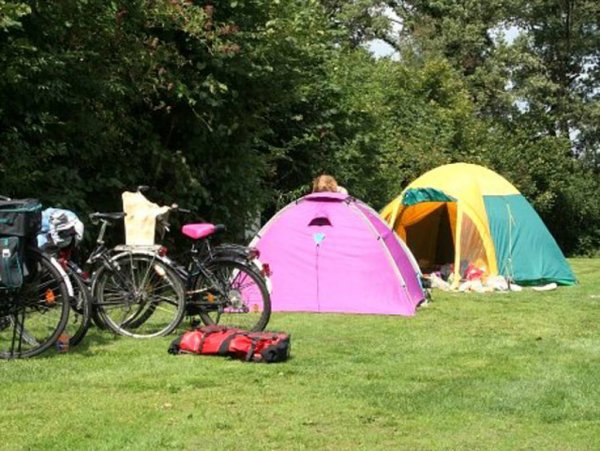 Camping Den Borg — Photo 3