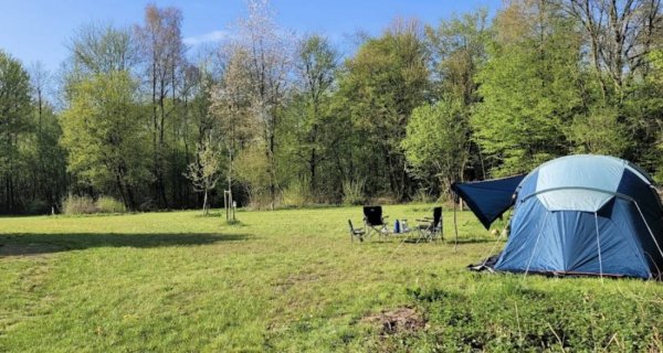 Natuurkampeerterrein de Dasselaar — Foto 3