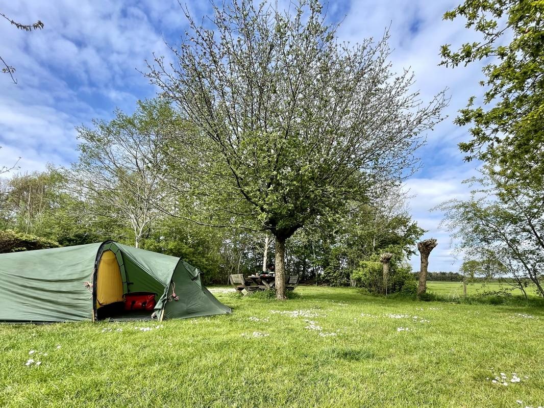 Natuurkampeerterrein Laaghalerveld — Area da campeggio in Hooghalen