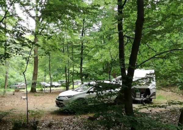 Natuurkampeerterrein Lheederzand — Photo 3