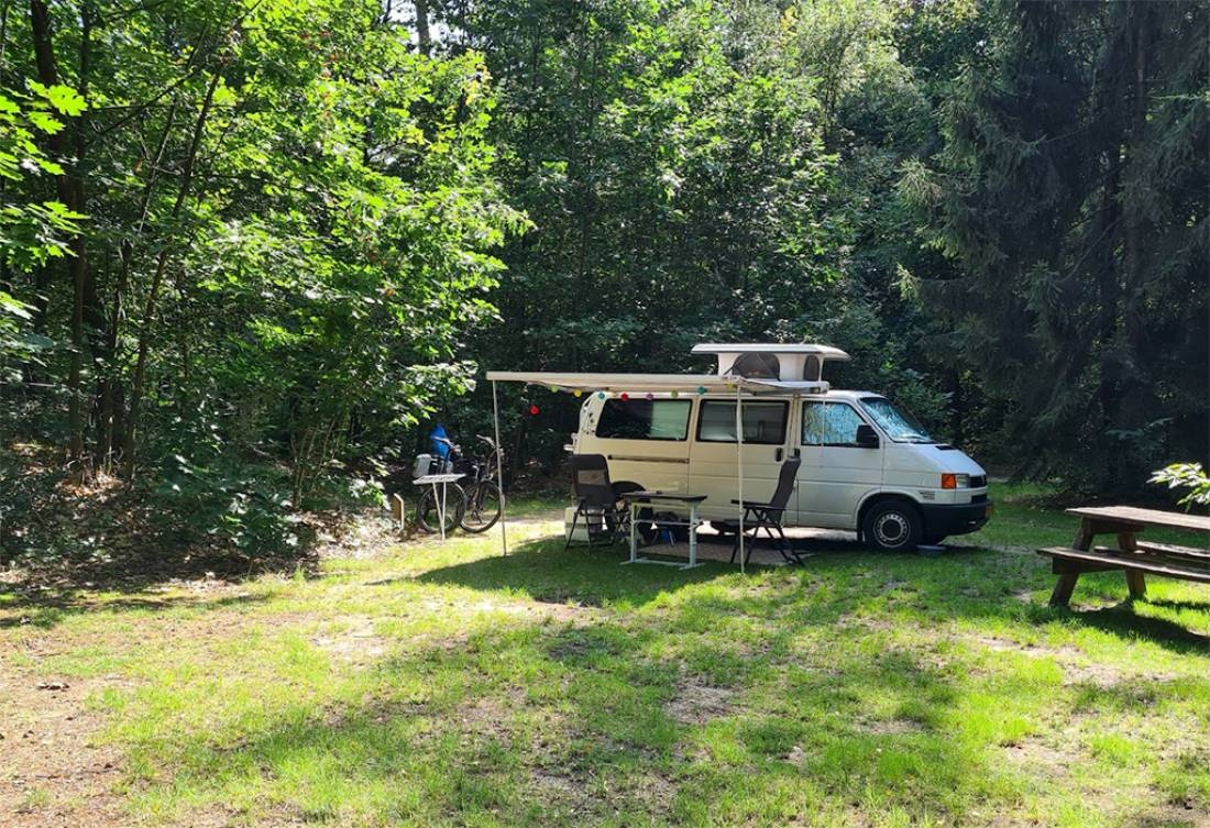 Natuurkampeerterrein Lheederzand — Campingplatz in Dwingeloo