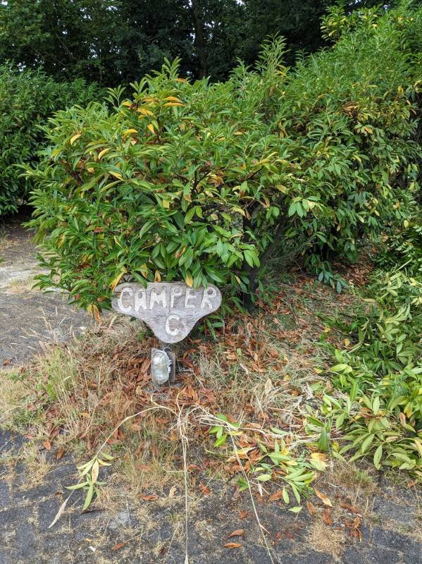 Boerderijcamping Het Amerveld — Photo 5