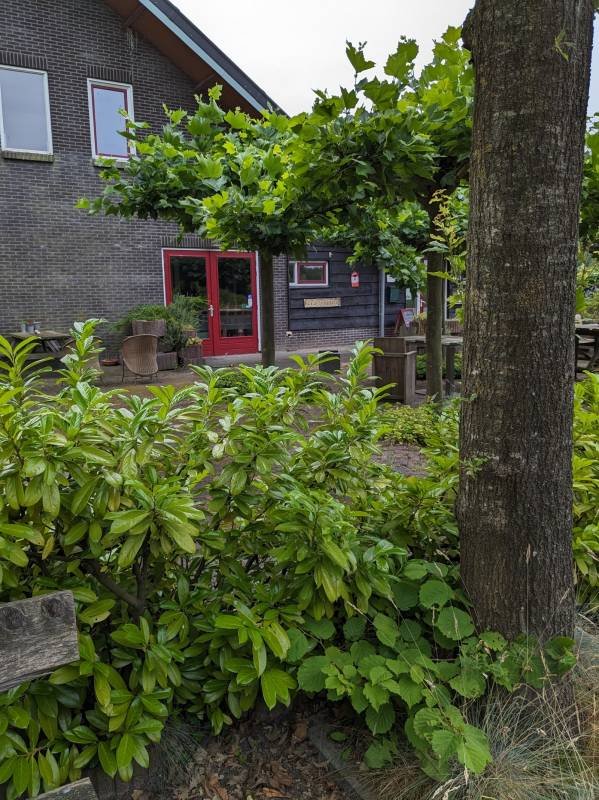 Boerderijcamping Het Amerveld — Photo 2