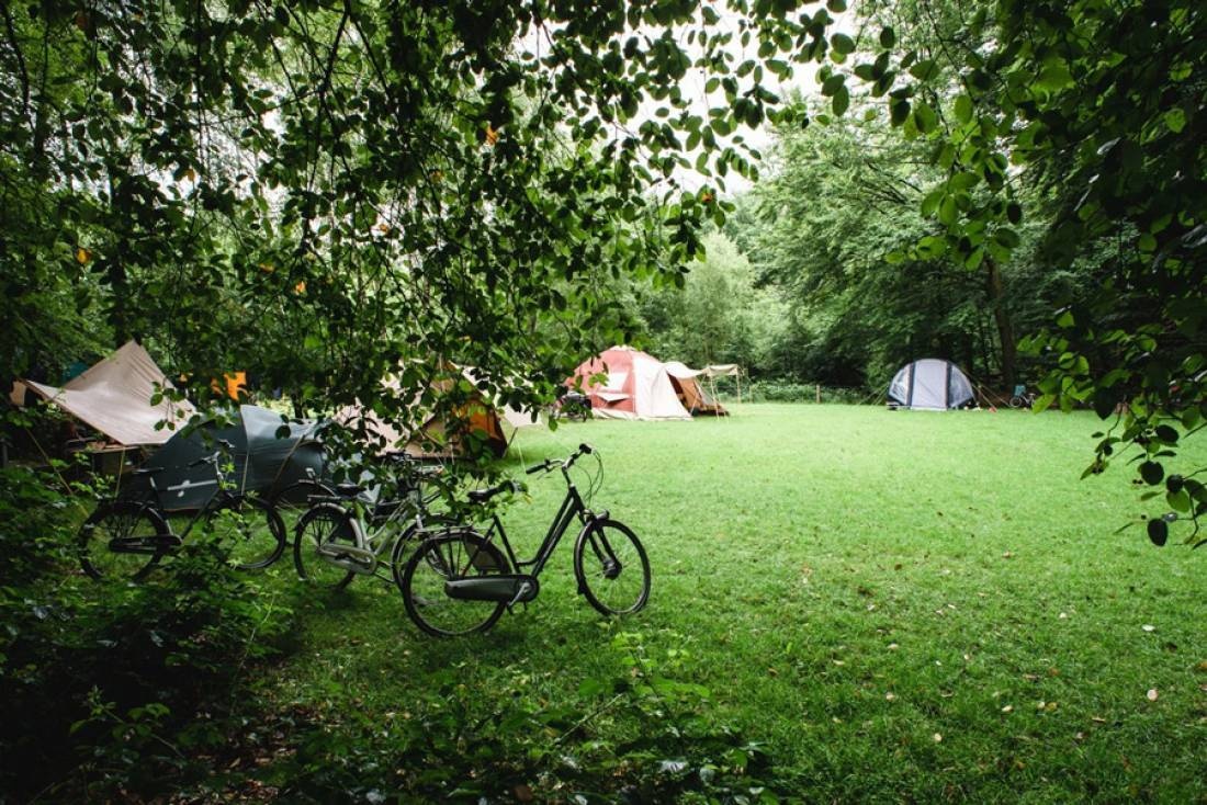 Natuurkampeerterrein Drie — Campingplatz in Ermelo