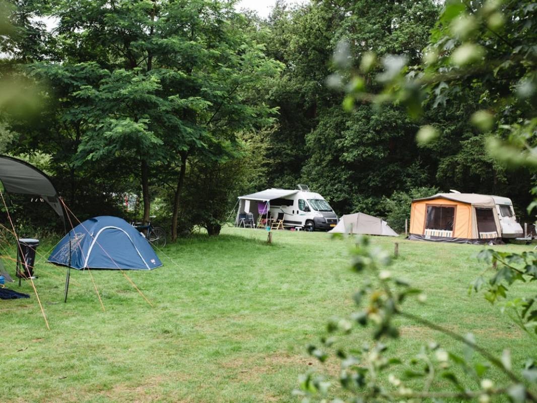 Natuurkampeerterrein Nieuw Soerel — Campingplatz in Nunspeet