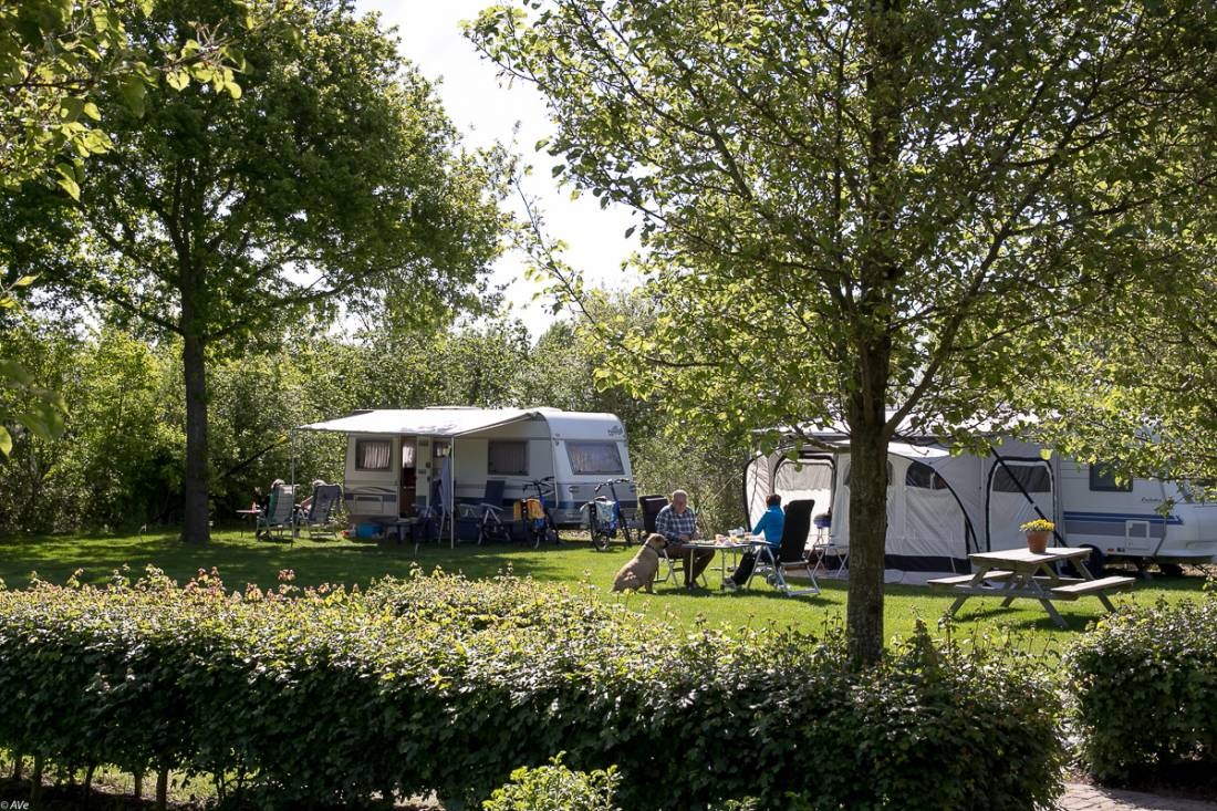 Minicamping de Vlegel — Camping in Koudekerke