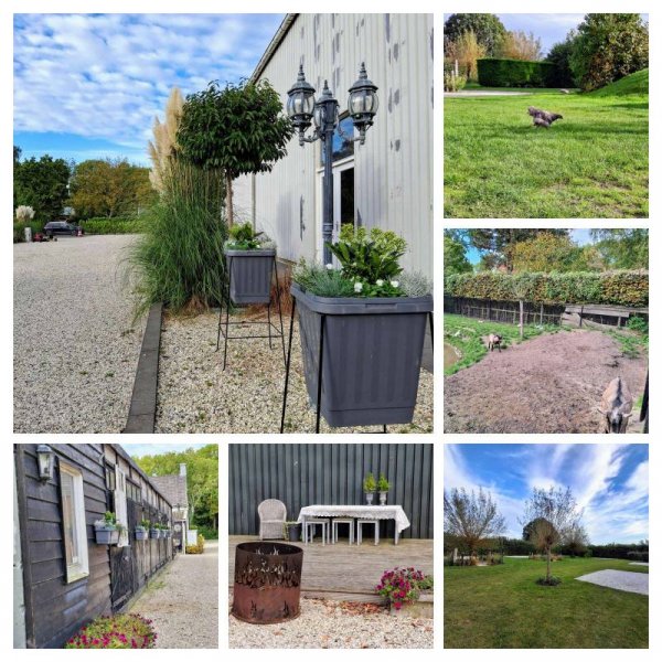 Minicamping De Vlaschaard — Photo 3