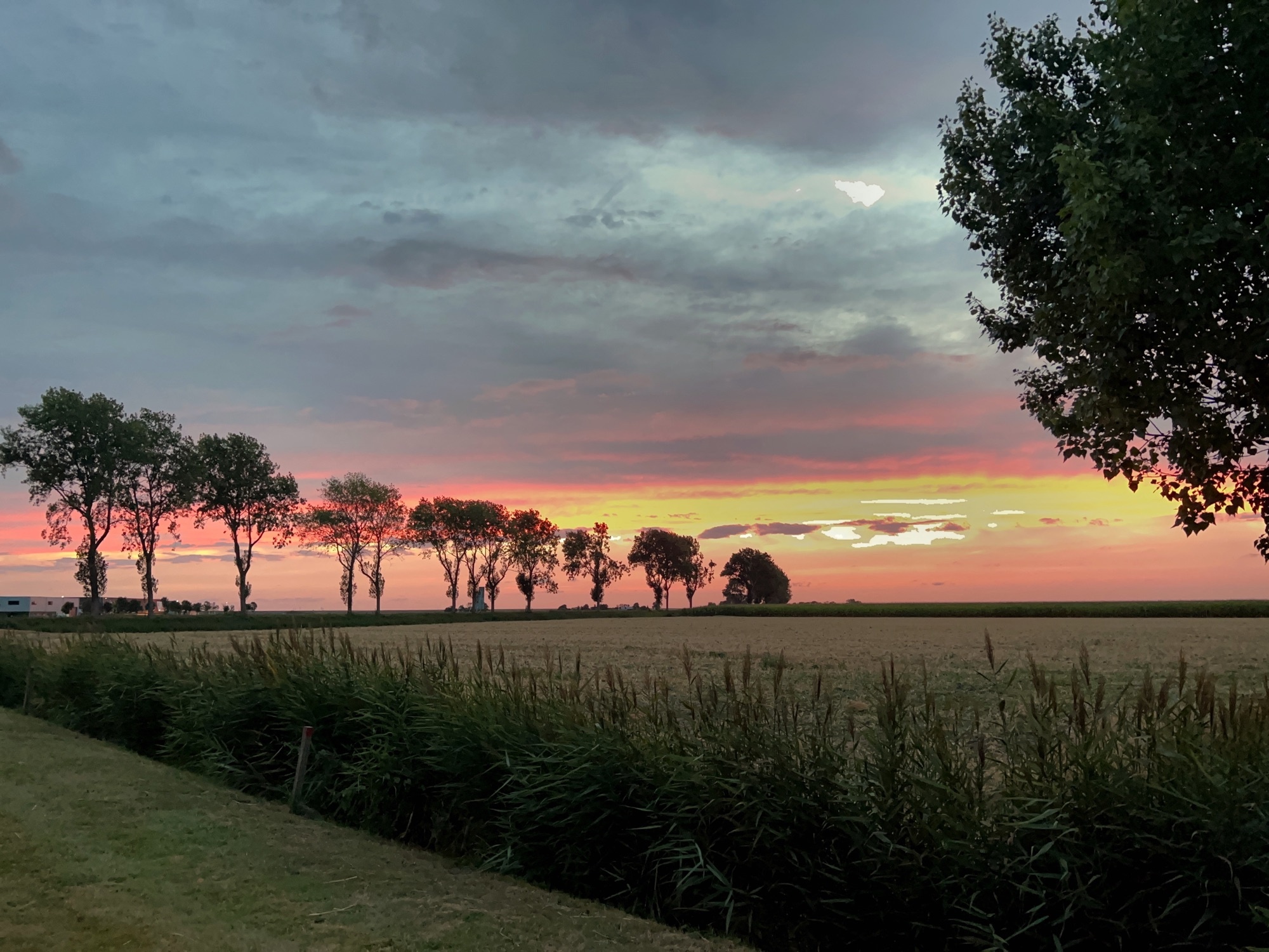 Camping De Toren — Campingplatz in Zierikzee