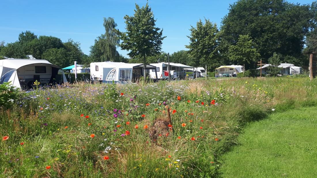 Charmcamping De Kleine Abtshoeve — Campingplatz in Oosterhout / Noord-Brabant