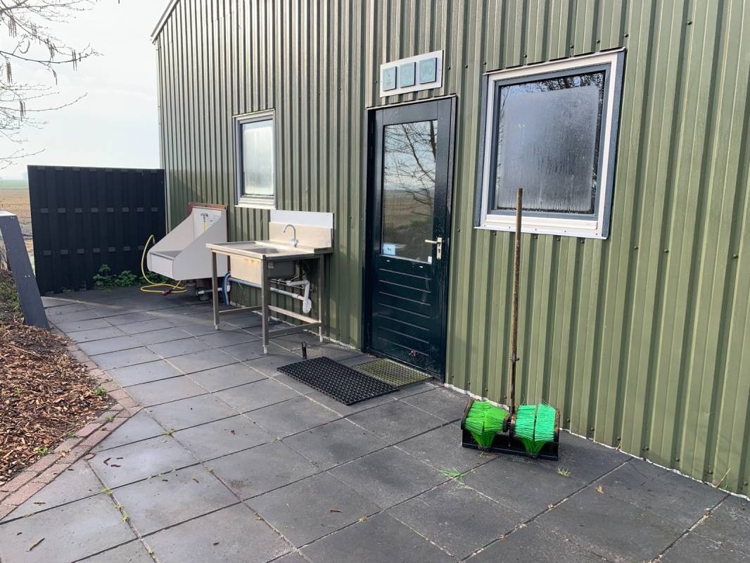 Minicamping Hoeve Nieuw Breda — Місце для кемпінгу in De Cocksdorp