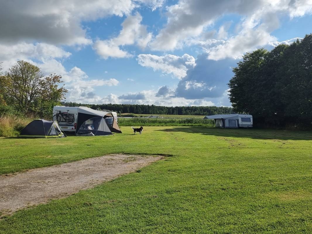 Camping de Rousant — Sítio de acampamento in Lauwerzijl