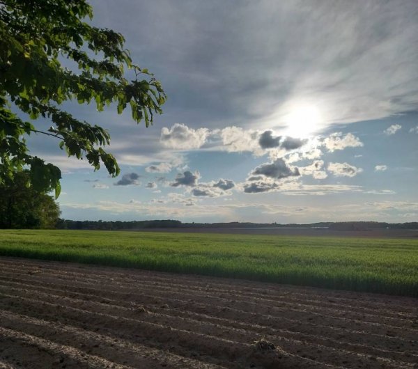 Boerderijcamping Terweierhof