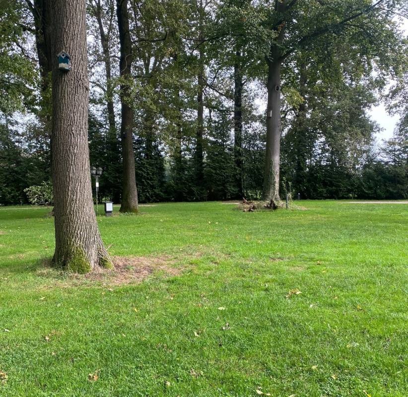 Camping de Rotmanshoeve — Campingplatz in Kotten